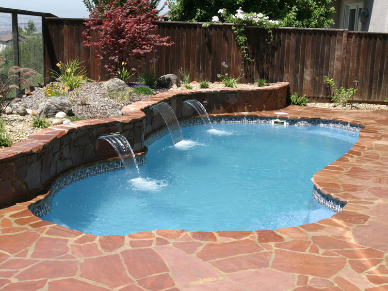 Indoor, smooth curved, screened pool edged with palm trees.